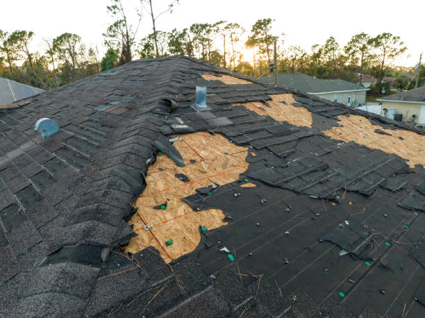 Best Roof Waterproofing  in Libby, MT